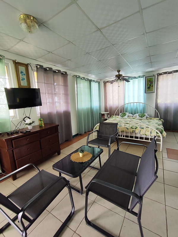 maizal-cabuya_estudio_02