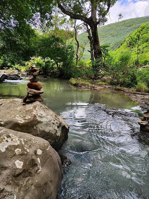 maizal-cabuya_gallery_08