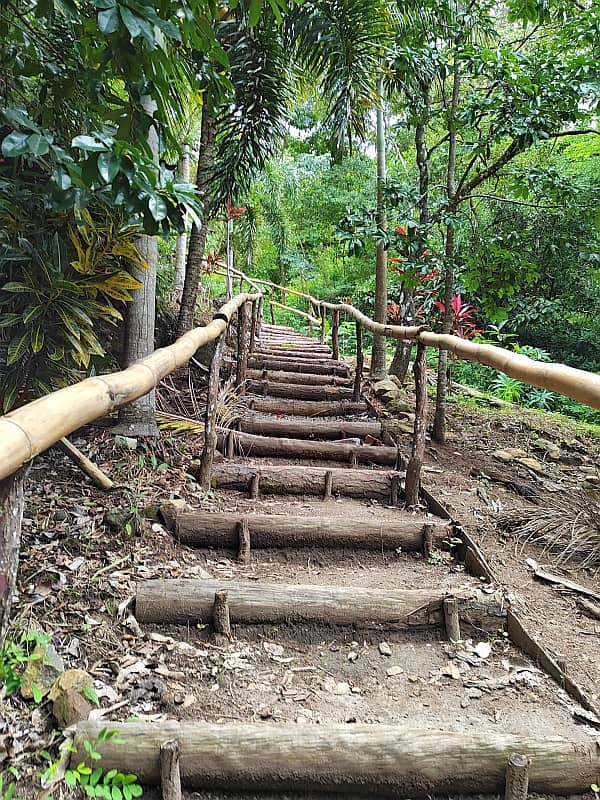 maizal-cabuya_gallery_11