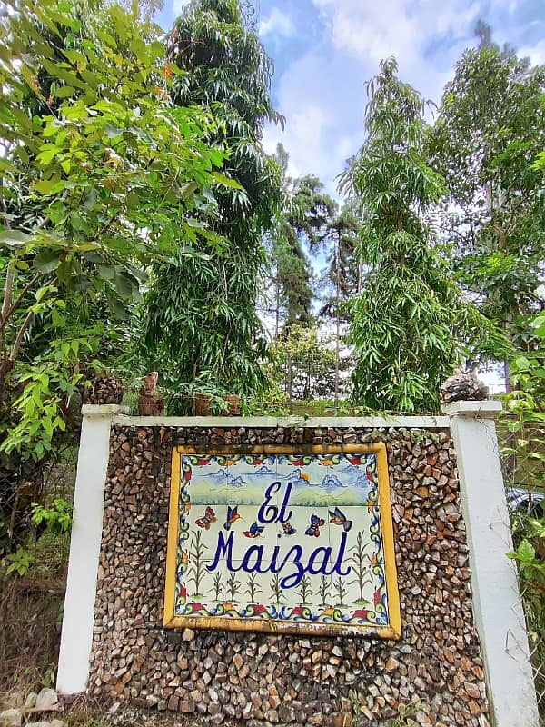 maizal-cabuya_gallery_12