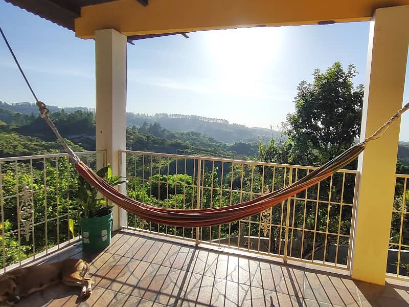 maizal-cabuya_gallery_13