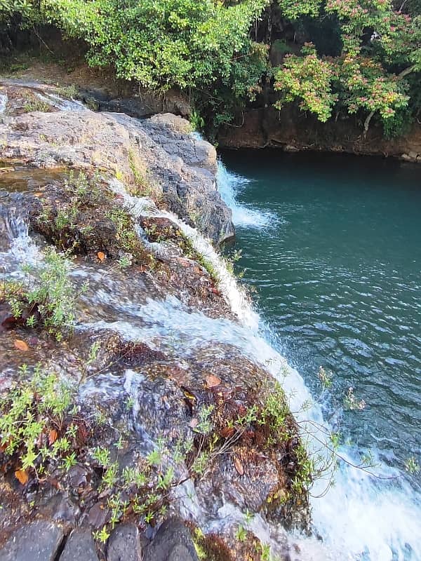 maizal-cabuya_gallery_14