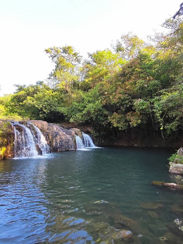 maizal-cabuya_gallery_15