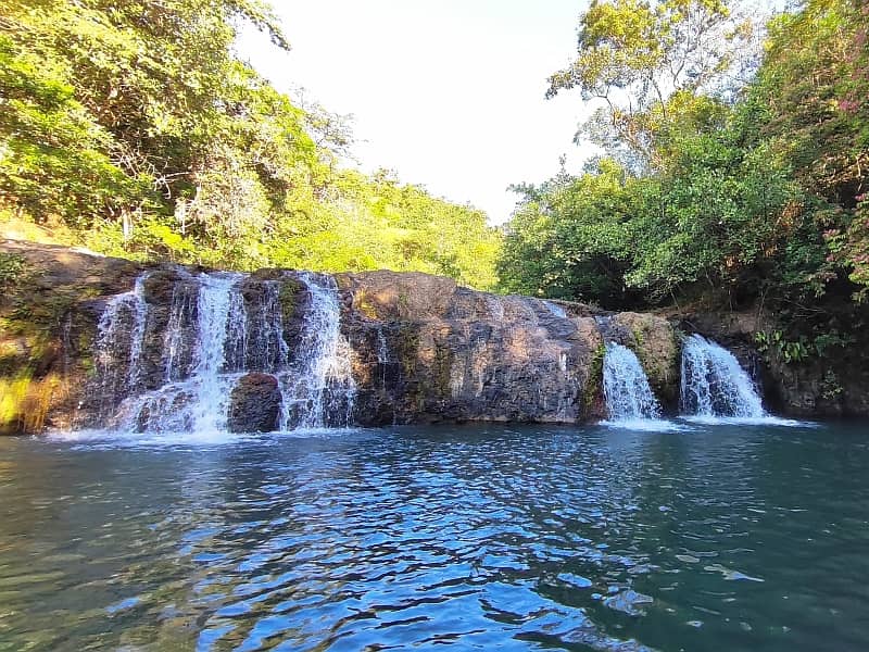 maizal-cabuya_gallery_16