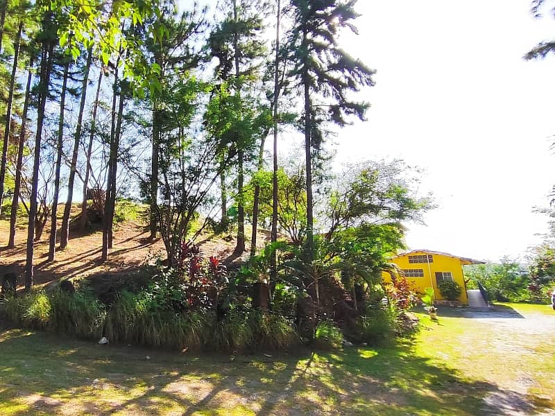 maizal-cabuya_gallery_18