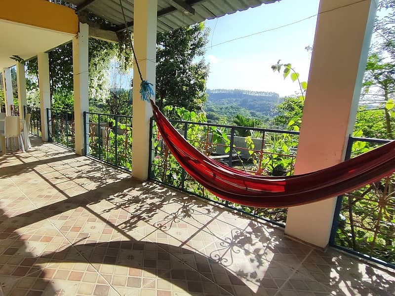 maizal-cabuya_gallery_20