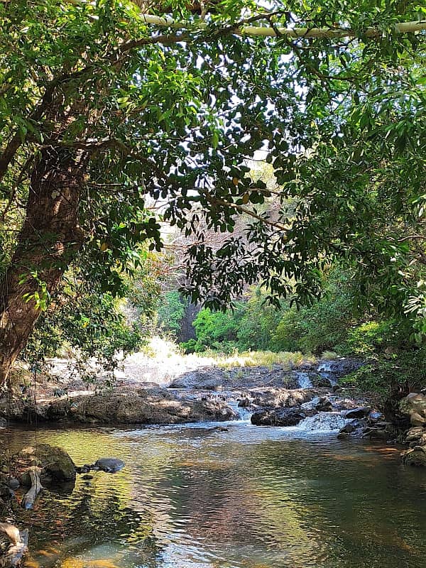 maizal-cabuya_gallery_21